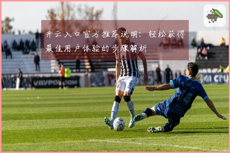 开云入口官方推荐说明：轻松获得最佳用户体验的步骤解析