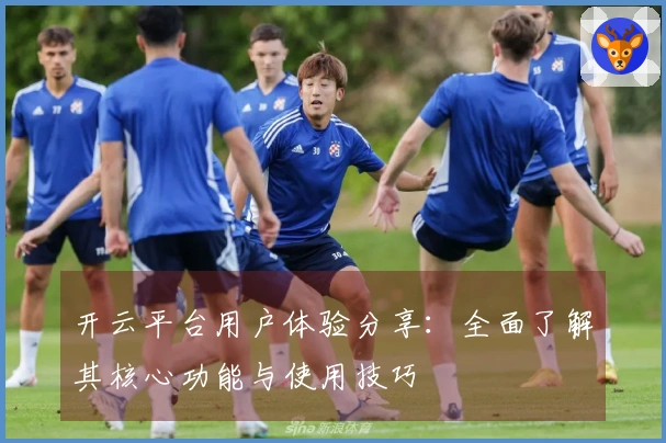 开云平台用户体验分享：全面了解其核心功能与使用技巧