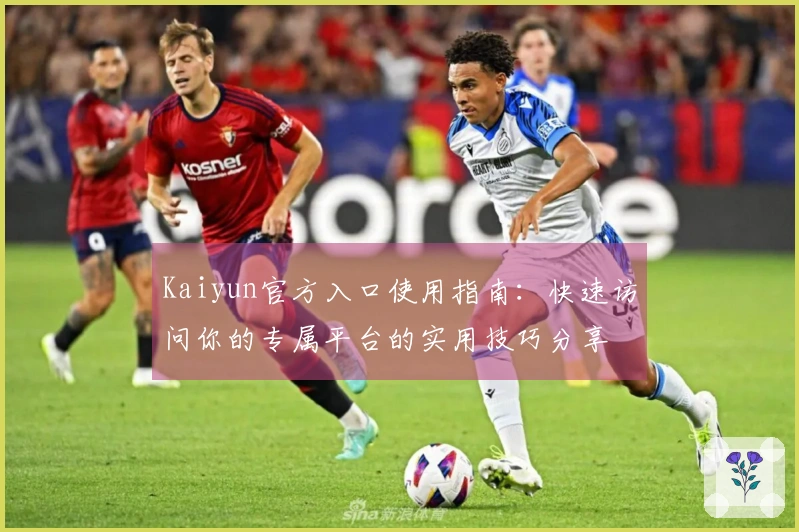 Kaiyun官方入口使用指南：快速访问你的专属平台的实用技巧分享