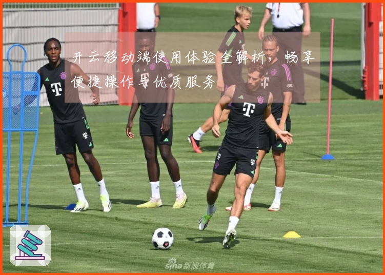 开云移动端使用体验全解析，畅享便捷操作与优质服务